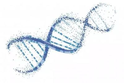 健康白皮书,一文真正读懂基因检测对我们的意义!(上)